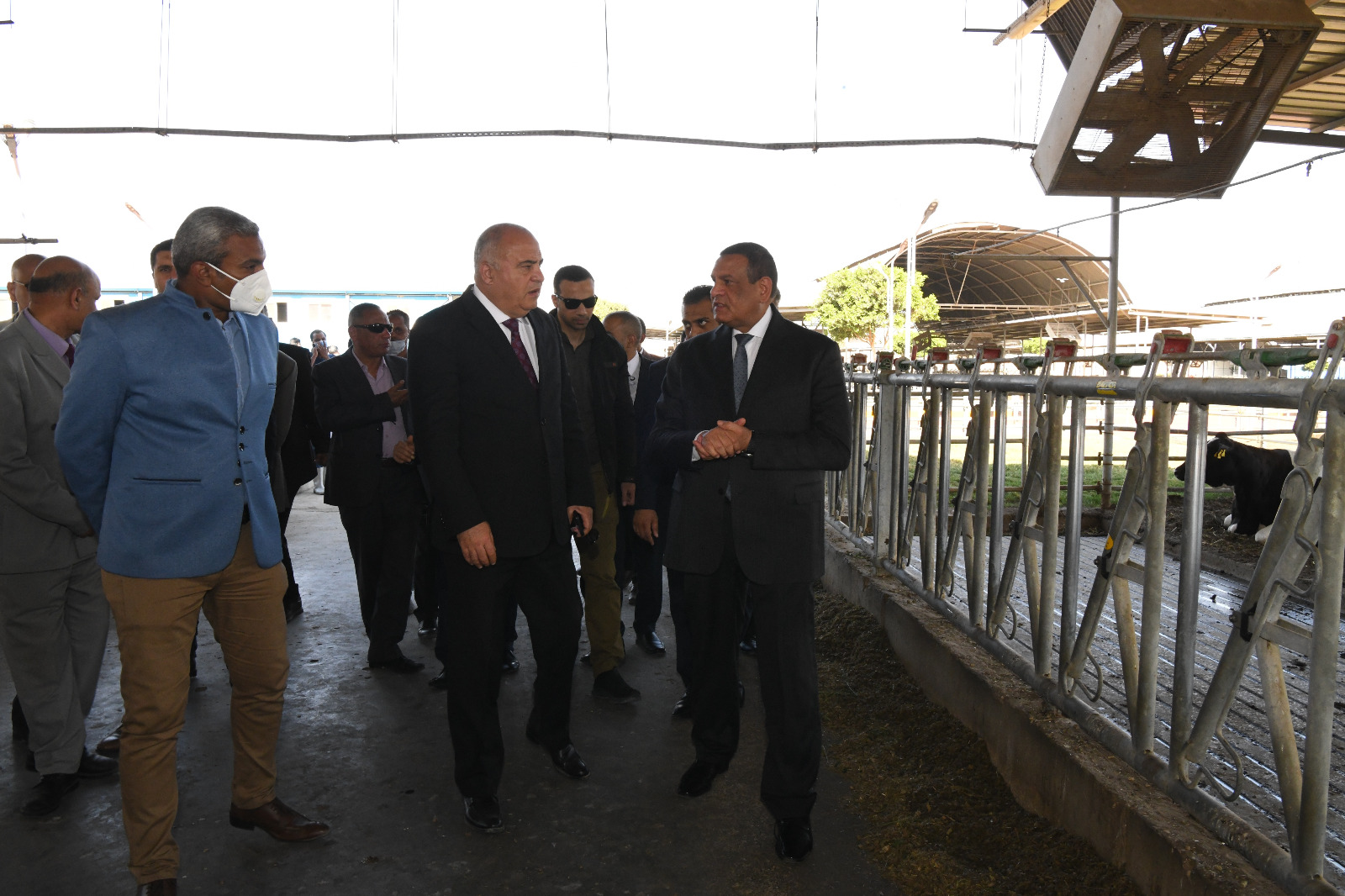 وزير التنمية المحلية يشيد بجهود محافظ قنا الكبيرة في تطوير مشروعات الأمن الغذائي