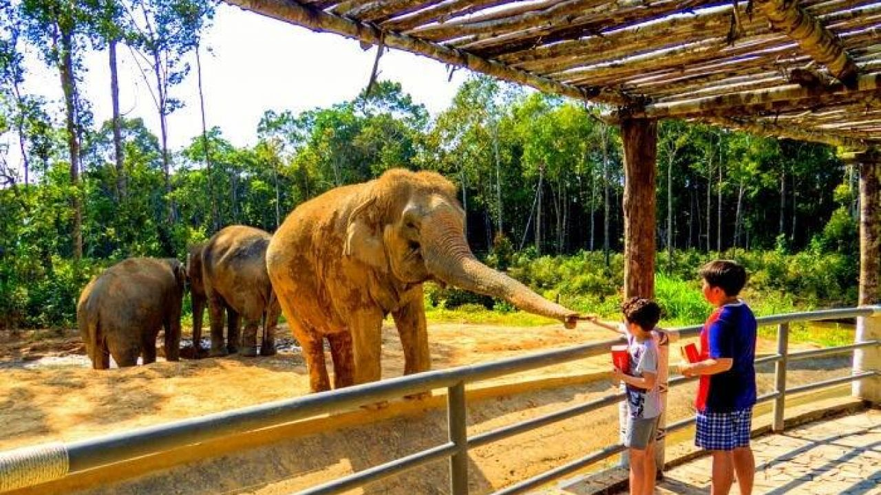 حديقة الحيوان تستعد لإستقبال الزائرين في اجازة عيد الفطر من الساعة 9 صباحاً إلى الساعة 4 عصراً