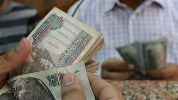 48 مليار جنيه حصيلة الشهادات 19% و22%الجديدة خلال يوم واحد