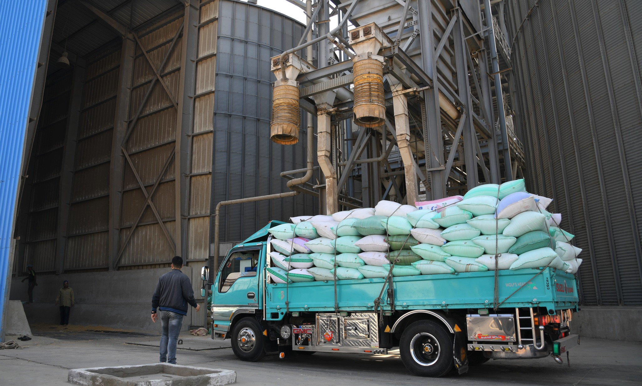 توريد 101 طن من القمح بمراكز ومدن محافظة الغربية