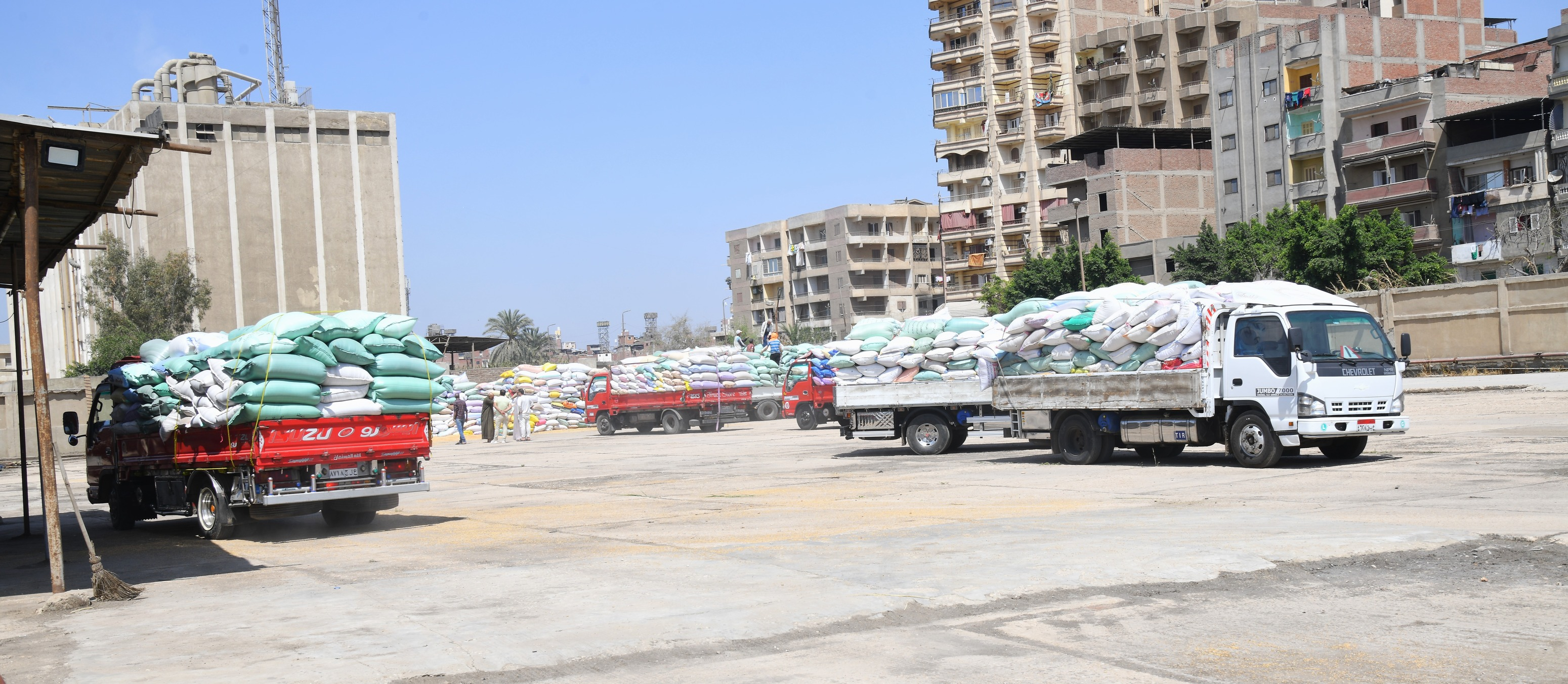 محافظ الغربية يتابع توريد محصول القمح بمختلف شون وصوامع المحافظة