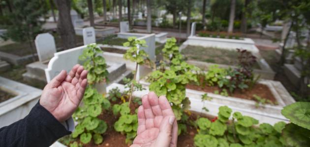 تعرف على حكم زيارة قبر الوالدين كل جمعة وقراءة القرآن لهما