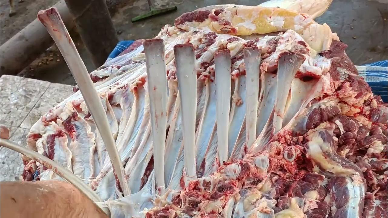 تعرف على أسعار اللحوم اليوم في الأسواق 3/6/2023