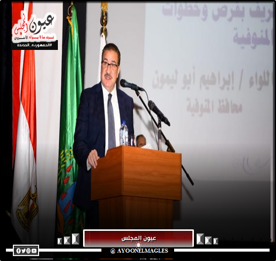 ضبط 25 شيكارة دقيق ومواد بترولية قبل بيعهم في السوق السوداء بالمنوفية