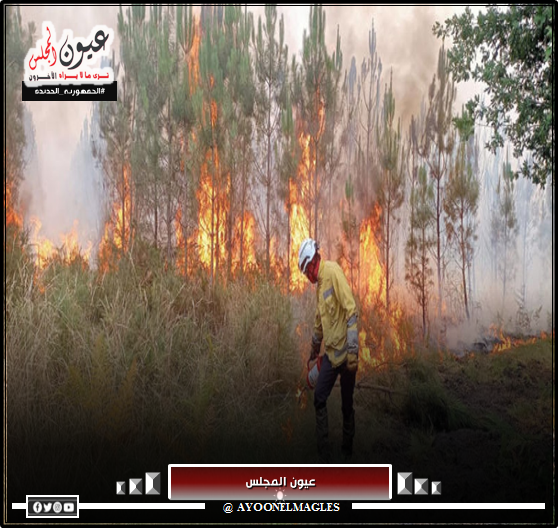 حصيلة الضحايا ارتفعت بسبب حرائق الغابات بمقاطعة “ماوي” في جزر هاواي الأمريكية إلى 80 شخصا