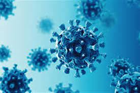 استشارى يحدد 4 أنواع للسرطانات