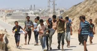 هنية يحذر من انهيار محادثات وقف إطلاق النار بسبب التصعيد في غزة
