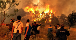 تتعرض أوروبا لموجة حر شديدة.. أدت إلى  حرائق الغابات الخطيرة فى مقدونيا