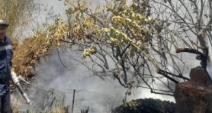 نشوب حريق هائل بجزيرة نيلية بمدينة أسوان