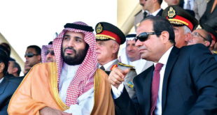 السيسي وبن سلمان يؤكدان على ضرورة وقف التصعيد في غزة والضفة الغربي