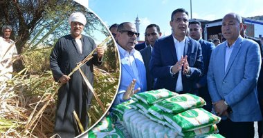 عودة مصنع سكر أبو قرقاص  للعمل هذا العام بعد توقفه خلال الموسم الماضي