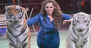 مدربة الأسود في قفص الاتهام بعد مأساة "سيرك طنطا"