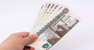 بالقانون: شروط الاشتراك فى تأمين البطالة والفئات المستفيدة منه.. بعد تصريح الحكومة الأخير