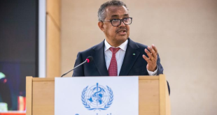 الصحة العالمية تحذر من وضع كارثي في غزة.. تفاصيل