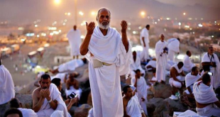 5 إجراءات تنظيمية لسلامة حجاج القرعة طوال موسم الحج