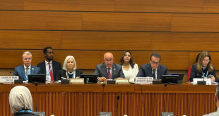 عبدالغفار: لا بديل عن التكاتف العربي لمواجهة الكوارث الصحية والاعتداءات على غزة