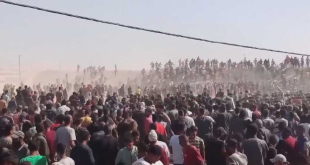 الأمم المتحدة: الوضع في غزة "مفجع".. والقلوب تنزف مع صور الجوعى
