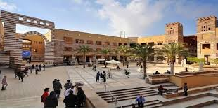 أرباح بالمليارات وذهب في المنازل.. بلاغ يكشف كواليس صادمة داخل الجامعات الخاصة