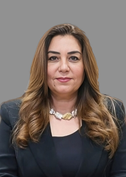 منال عوض: توافر قطع أراضي بجميع المحافظات تصلح للبناء السكني