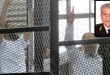 اليوم.. النطق بالحكم على المتهم باغتيال اللواء نبيل فراج.. بعد إحالته للمفتي