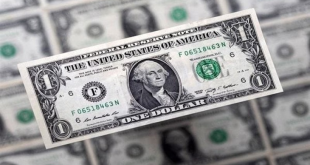 استقرار أسعار الدولار الأمريكي مقابل الجنيه اليوم الأربعاء