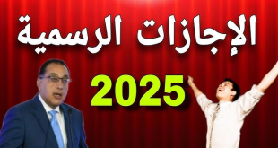 9 أيام إجازة حتى نهاية العام.. إجازات 2025 وعطلات شهر يونيو بالتفصيل