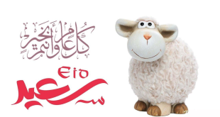 التنمية المحلية تُوجه برفع الاستعداد بالمحافظات استعدادًا لعيد الأضحى المبارك
