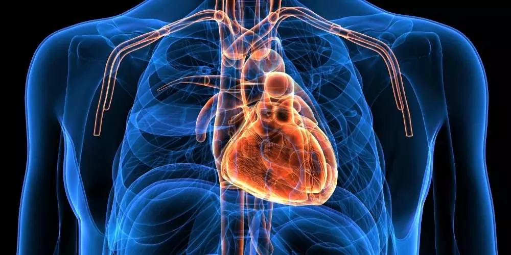 وداعا عمليات القلب المفتوح .. قصة أول زراعة بدون شق الصدر والعظام
