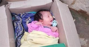 عمره ساعات.. العثور على رضيع حديث الولادة داخل المقابر في المنوفية