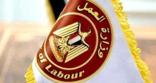 لدمجهم في سوق العمل
