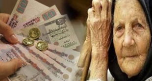 معاش ربات البيوت بدون وظيفة.. شروط الحصول على المعاش