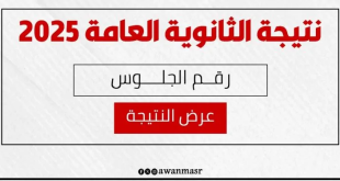 موعد ظهور نتيجة الثانوية العامة 2025