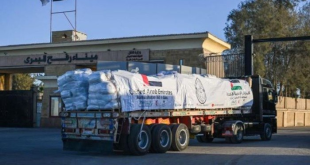  لدعم الشعب الفلسطيني في ظل الأوضاع الراهنة.. عبور 20 شاحنة مساعدات إماراتية معبر رفح البري تمهيدا لدخولها غزة