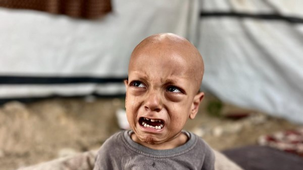 تحتوي هذه الصورة على سمة alt فارغة؛ اسم الملف هو eyonelmagles.media-image-image-450.png