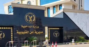 ربة منزل في القليوبية إلى السجن.. استهدفت شخصيات عامة بالتشهير والابتزاز