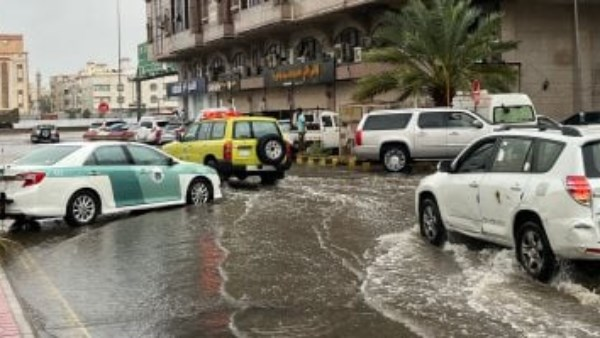تحتوي هذه الصورة على سمة alt فارغة؛ اسم الملف هو eyonelmagles.media-image-image-566.png
