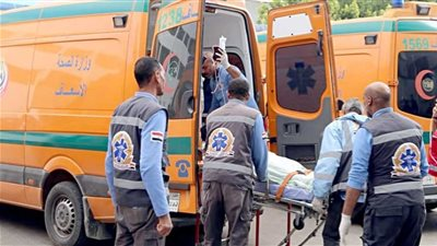 تحتوي هذه الصورة على سمة alt فارغة؛ اسم الملف هو eyonelmagles.media-image-image-592.png