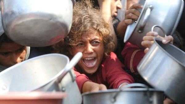 تحتوي هذه الصورة على سمة alt فارغة؛ اسم الملف هو eyonelmagles.media-image-image-6.png