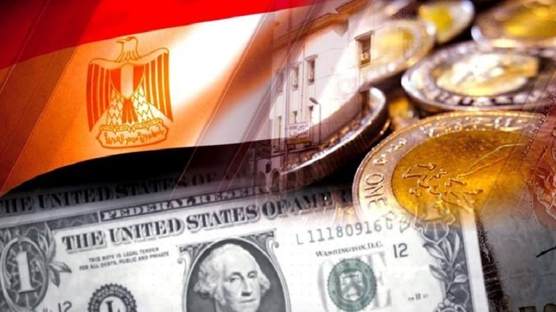 تحتوي هذه الصورة على سمة alt فارغة؛ اسم الملف هو eyonelmagles.media-image-image-192.png
