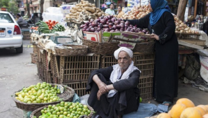 "بعد تحريك الوقود.. شعبة الخضار: الموسم الشتوي في أمان والأسواق مستقرة"