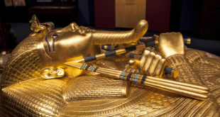 عرض أجنة بنات توت عنخ آمون ضمن مقتنيات المتحف المصري الكبير