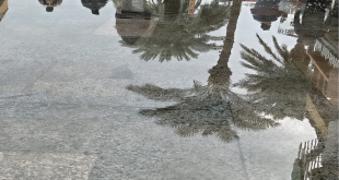 عاصفة مفاجئة تضرب جنوب سيناء.. أمطار رعدية ورفع الطوارئ في سانت كاترين