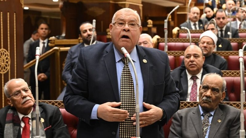 تحتوي هذه الصورة على سمة alt فارغة؛ اسم الملف هو eyonelmagles.media-image-image-125.png