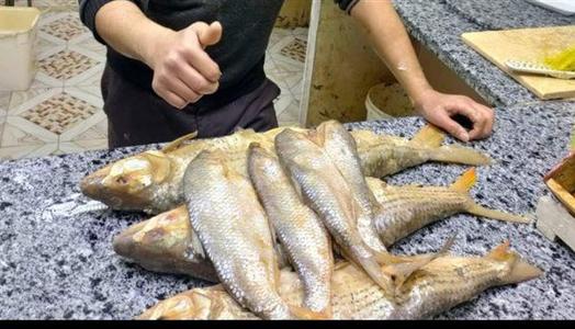 تحذير عاجل من وزارة الصحة بشان تناول الفسيح في عيد الفطر