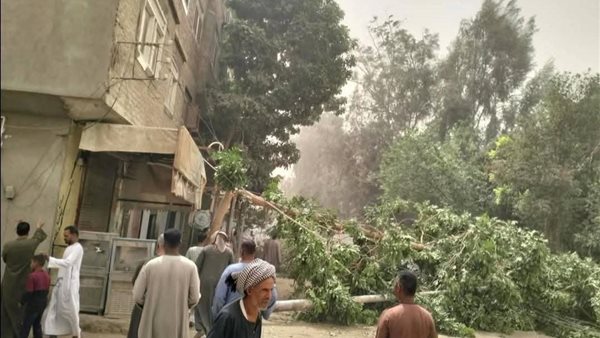 سقوط عمود إنارة وأشجار دون إصابات في قنا.. بسبب العاصفة الترابيةالتي تضرب المحافظة اليوم