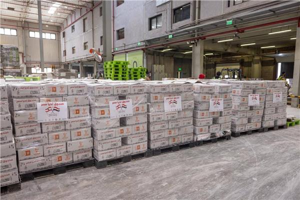 مصر تُرسل نحو 1000 طن من المساعدات الإغاثية العاجلة إلى لبنان