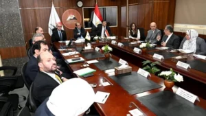 تحرك حكومي جديد لدعم صناعة السيارات في مصر