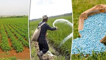 زيادة 40% في أسعار الأسمدة.. هل ترتفع أسعار الحبوب عالميًا بسبب الأزمة؟