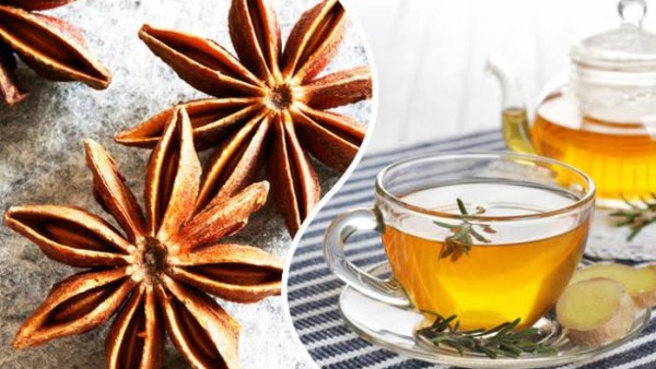 تعرف على فوائد مشروب اليانسون  للمعدة والقلب والجهاز التنفسي
