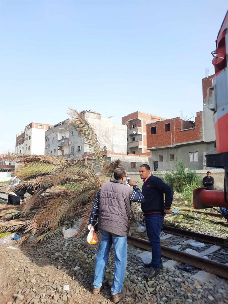 بعد سقوط نخلة.. توقف مفاجئ لقطار بالإسكندرية قبل محطة سيدي جابر